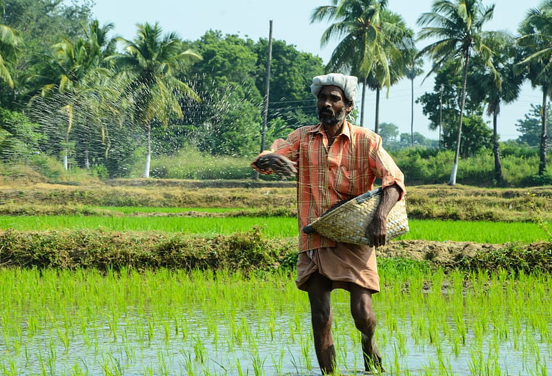 Farmers preparing the fields